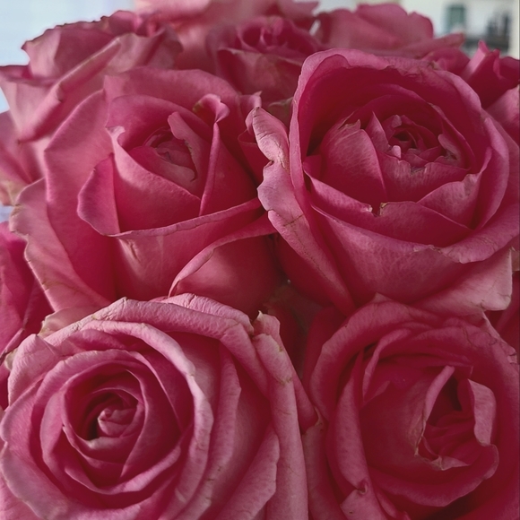 Meet your Posher - Picture 1 of 1